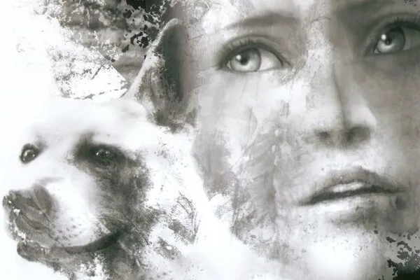 Haunting Ground walkthrough and guide