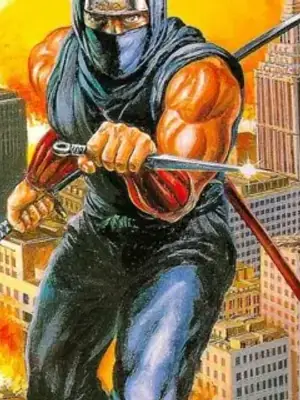 Ninja Gaiden walkthrough and guide