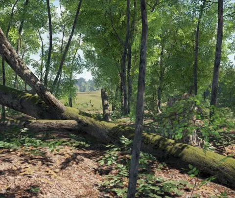 SCUM walkthrough and guide