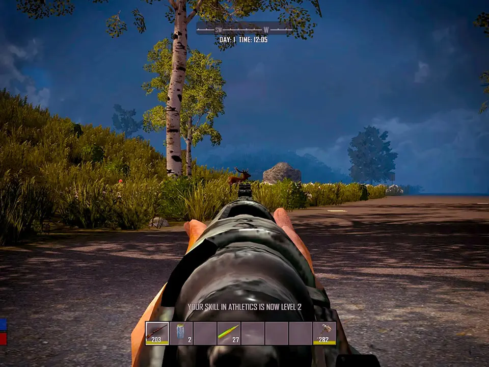 Beginner Survival Tips