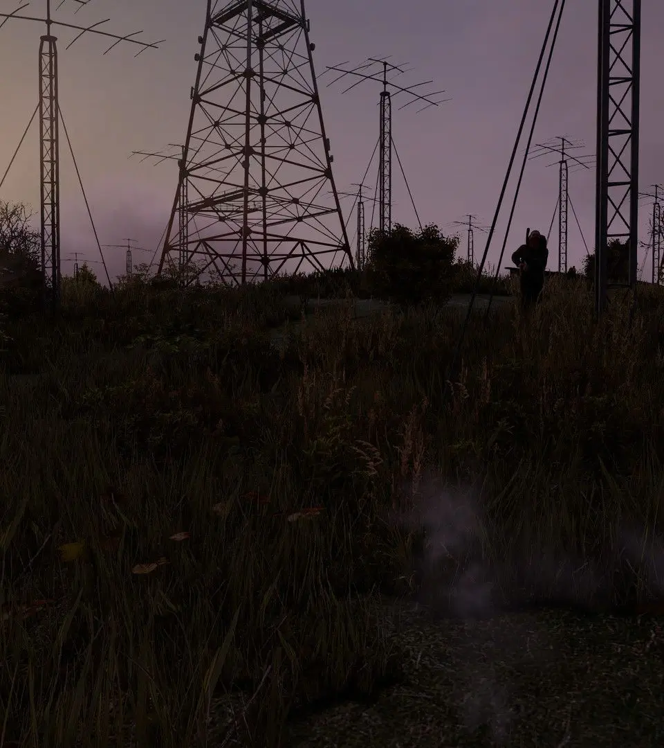 Stealth & Evasion Techniques — DayZ Guide