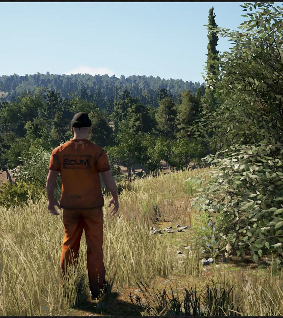 Character Creation and Attributes