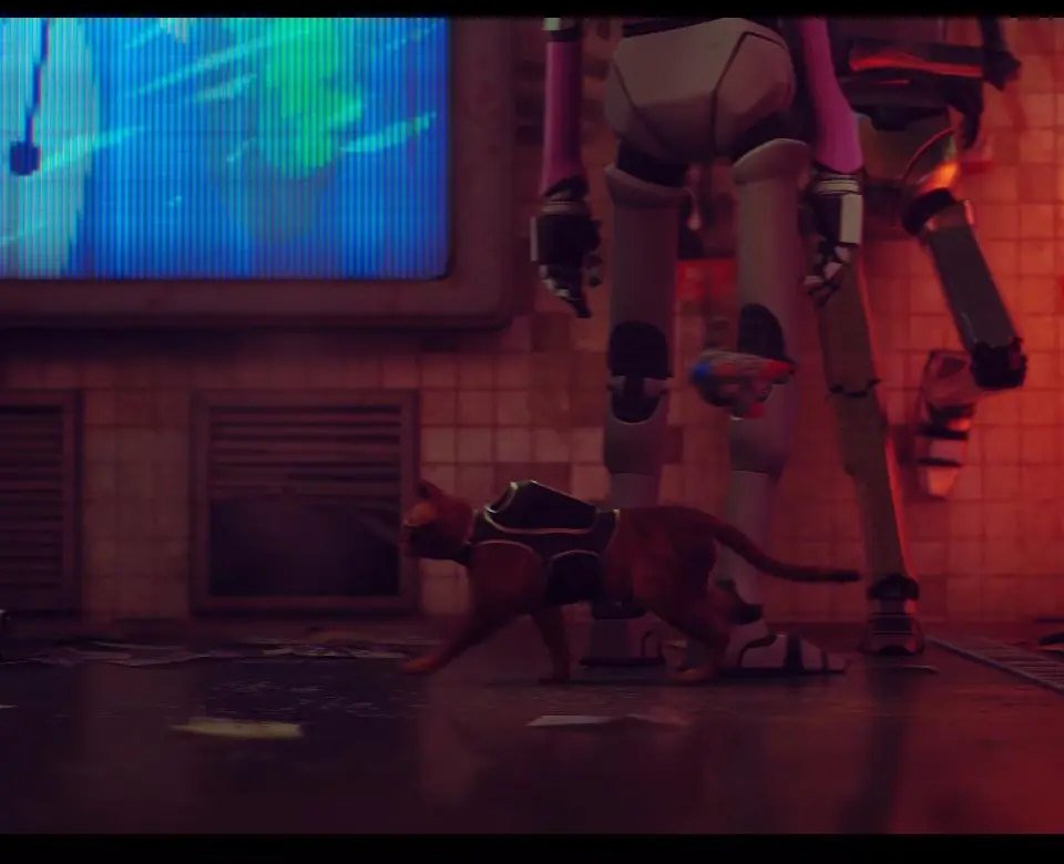 Other Notable Robots