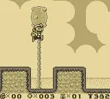 Main Walkthrough