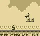 Turtle Zone