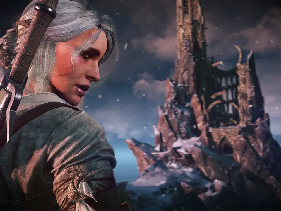 Advanced Combat Techniques — The Witcher 3: Wild Hunt Guide